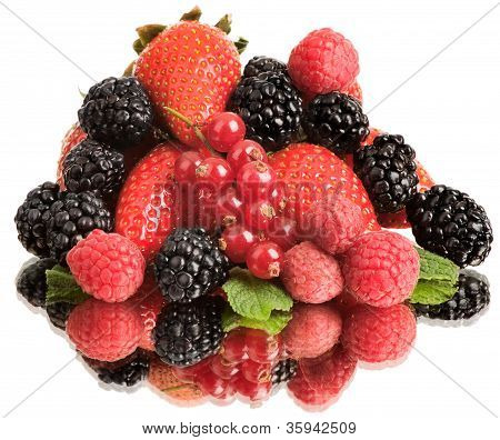 Still Life Multifrutta