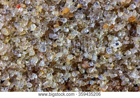 Extreme Closeup (5x) Of A C Horizon Of A Podzol Or Spodosol Formed Of Glacial Till. This Is The Pare