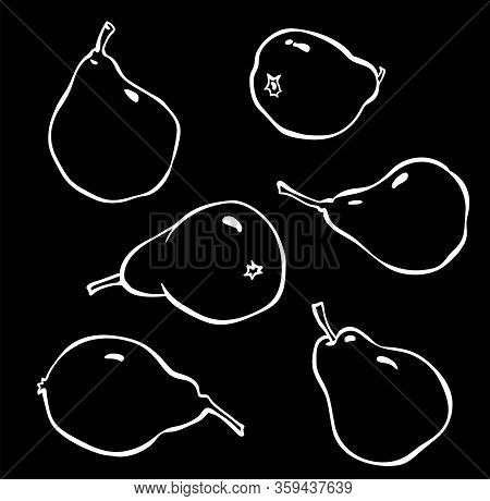 Vector Hand Drawn Pears. Sketch Of Pears