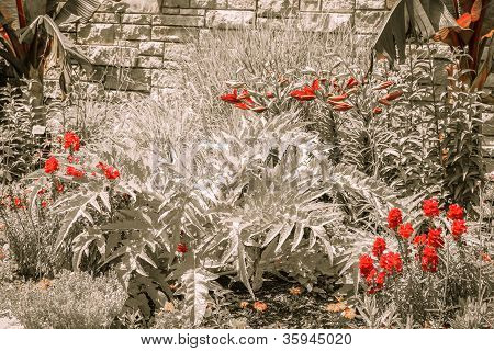jardins