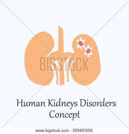 Human Kidneys Filled With Puzzle Pattern Few Of Whitch Unfit To The Whole. Conceptual Image Of Human