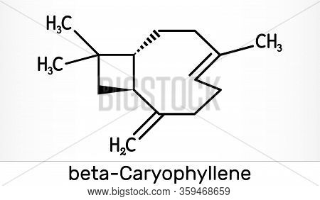 Caryophyllene, Beta-caryophyllene, C15h24 Molecule. It Is Natural Bicyclic Sesquiterpene That Is A C