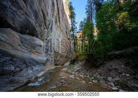 Tall Cliff Looms Over Virgin River In Utah Wilderness