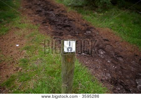 Camino con signo