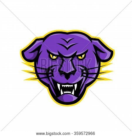 Mascot Icon Illustration Of Head Of An Angry Or Aggressive Black Panther Or Melanistic Leopard Viewe
