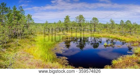 Viru Bog (viru Raba) In Lahemaa National Park, A Popular Natural Attraction In Estonia, A Tourist Ec