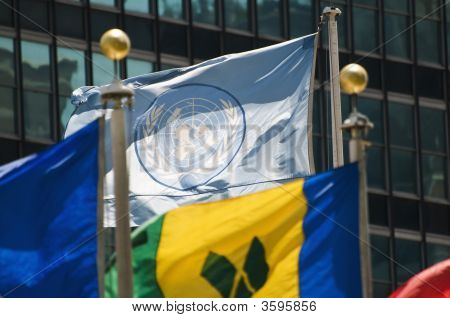 Bandera de las Naciones Unidas
