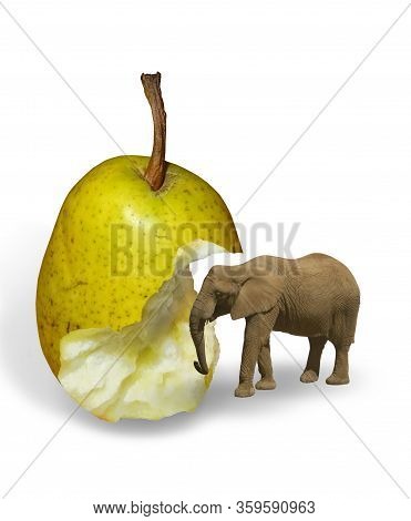 Bitten Off Green Pear And Elephant Isloated On White Background. Photomanipulation