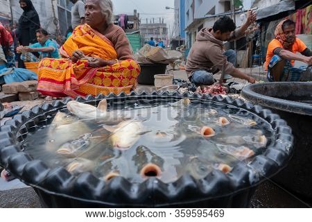 Kolkata, West Bengal, India - 16th December 2018 : Alive Fishes For Sale. Aged Woman Selling Them In