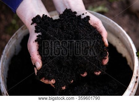 Hands Holding Fresh Home Made Compost Soil