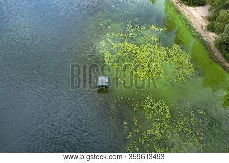 Blooming Blue-green Algae. Water Pollution Of Rivers And Lakes With Harmful Algal Blooms. Ecological
