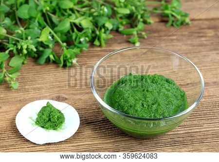 Mixed And Fresh Chickweed, Stellaria Media, Wild Herb. Common Chickweed  In A Bowl Ready For Eating 