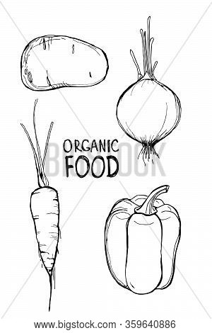 Vegetables Set, Hand Drawn Sketch With The Inscription Organic Food. Black White Illustration Potato
