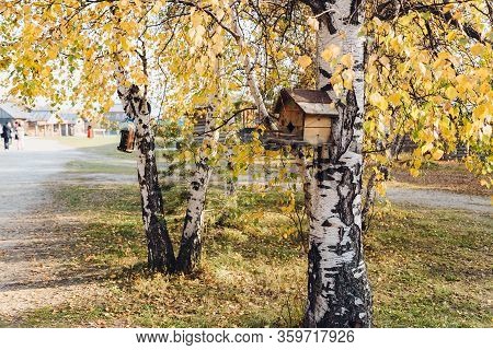 Birdhouse On Birch Tree, Branches With Yellow Autumn On Background