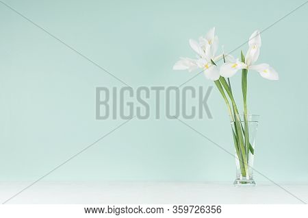 Fresh Spring Home Decor  - Elegant Gentle White Flowers Of Iris In Transparent Glass Vase  On Green 