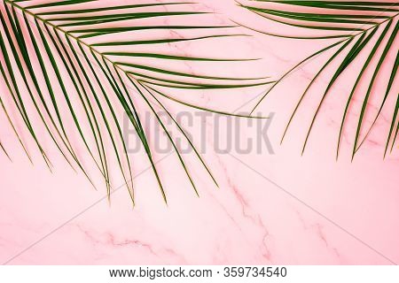 Tropical Green Palm Leaf On Pink Marble Background. Flat Lay, Top View. Copy Space For Your Text. Su