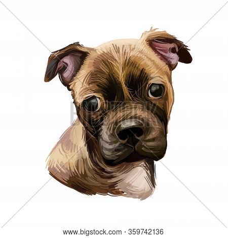 Chug Puppy Digital Art Illustration Isolated On White