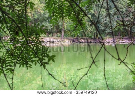 A View Through The Tree Branches On Green Lake. The Alga Give The Lake Its Turquoise Color. Dense Fo