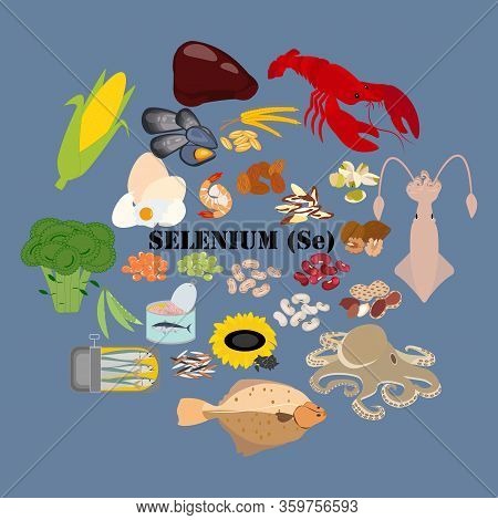 Selenium Se Microelement In Food Vector Illustration