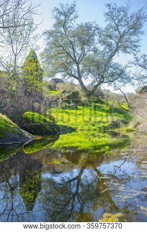 River Muelas Backwaters Close To Rugidero Site, Cornalvo Natural Park, Extremadura, Spain