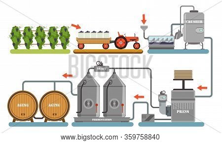 Wine Production Process, Alcoholic Beverages Making Equipment, Grapes Harvesting, Crushing, Pressing