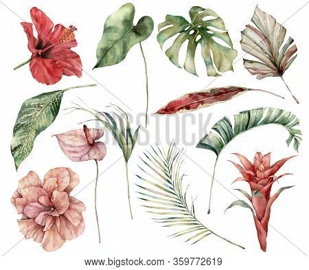 Watercolor Tropical Set With Flowers And Leaves. Hand Painted Hibiscus, Monstera, Anthurium, Guzmani