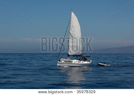 Sejlbåd på havet