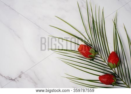 Three Ripe Red Fresh Strawberries And Tropical Leaf, Robelini Branch Isolated On White Marble Backgr