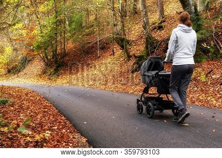 Mother With Pram Walking On The Road In Autumn Nature