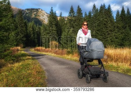 Woman With Pram Walking In Ticha Valley In High Tatras, Slovakia