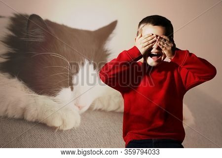 Little Boy Suffering From Ailurophobia. Irrational Fear Of Cats