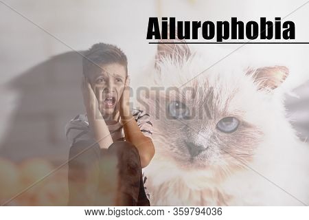Little Boy Suffering From Ailurophobia. Irrational Fear Of Cats
