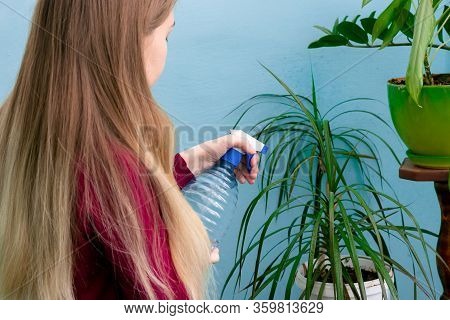 Young Girl Is Spraying Water On Leaves Of Dracaena Plant At Home. Gardener Watering House Plants Usi