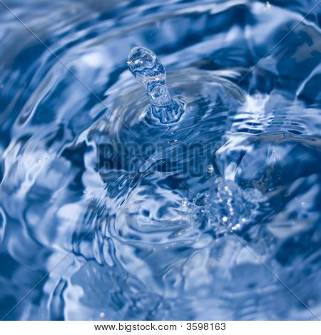 Water Column