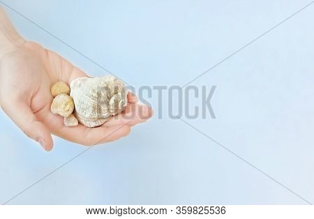 Want To Travelin The Palm Of A Person Several Sea Shells On A Blue Background. Mockup, Copy Space..t