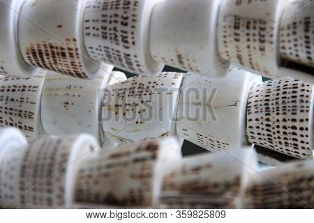 Cone Shells Surface Of A Structure Artwork