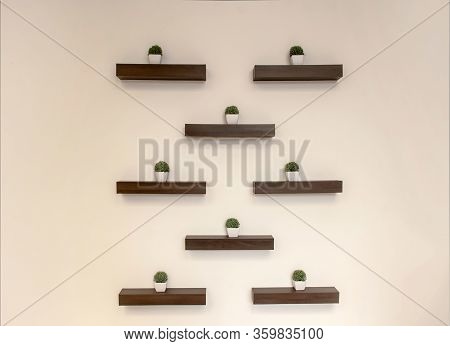 Abstract Decoration Wall With Bush Of Plant On Wood Shelf