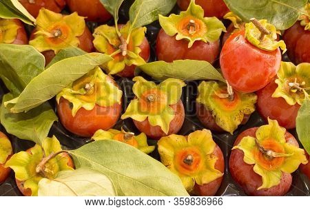 The Persimmon Is A Tropical Fruit Typical Of Autumn - Diospyros Kaki