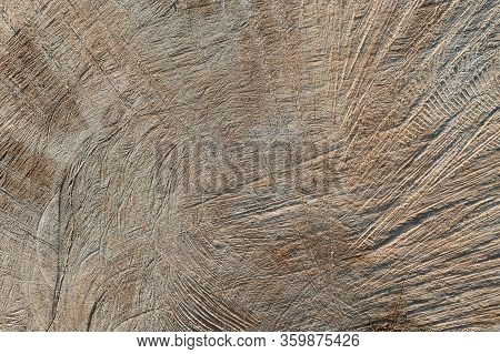 Background Texture Of Sawn Wood In A Cut Macro