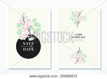 Botanical Wedding Invitation Card Template Design, Pink Sakura Flowers With Silver Dollar Eucalyptus