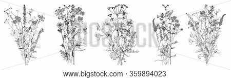Vector Drawing Bouquets Of Wild Flowers, Set Of Floral Elements, Hand Drawn Illustration