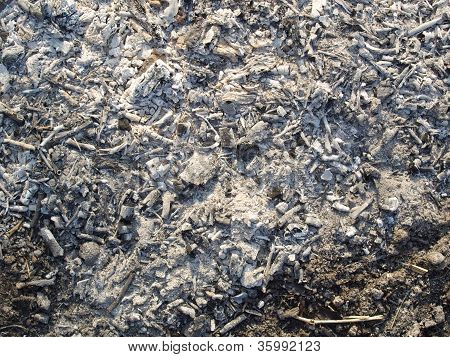 Charcoal ashes