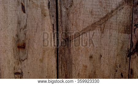 Teak Images, Illustrations & Vectors (Free) - Bigstock
