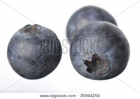 블루베리