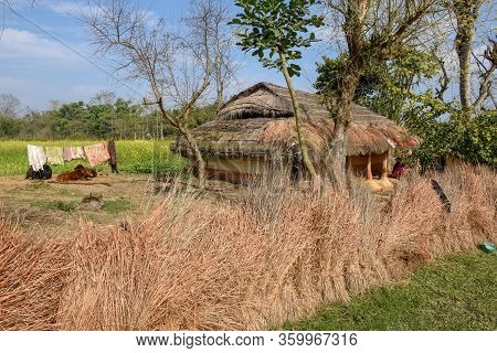 Traditional Rural House At Chitwan In Nepal