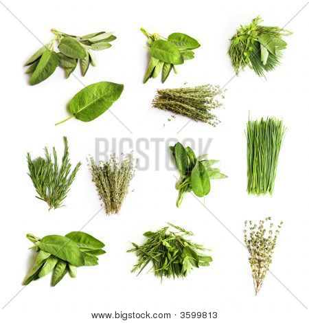 Fines herbes fraîches