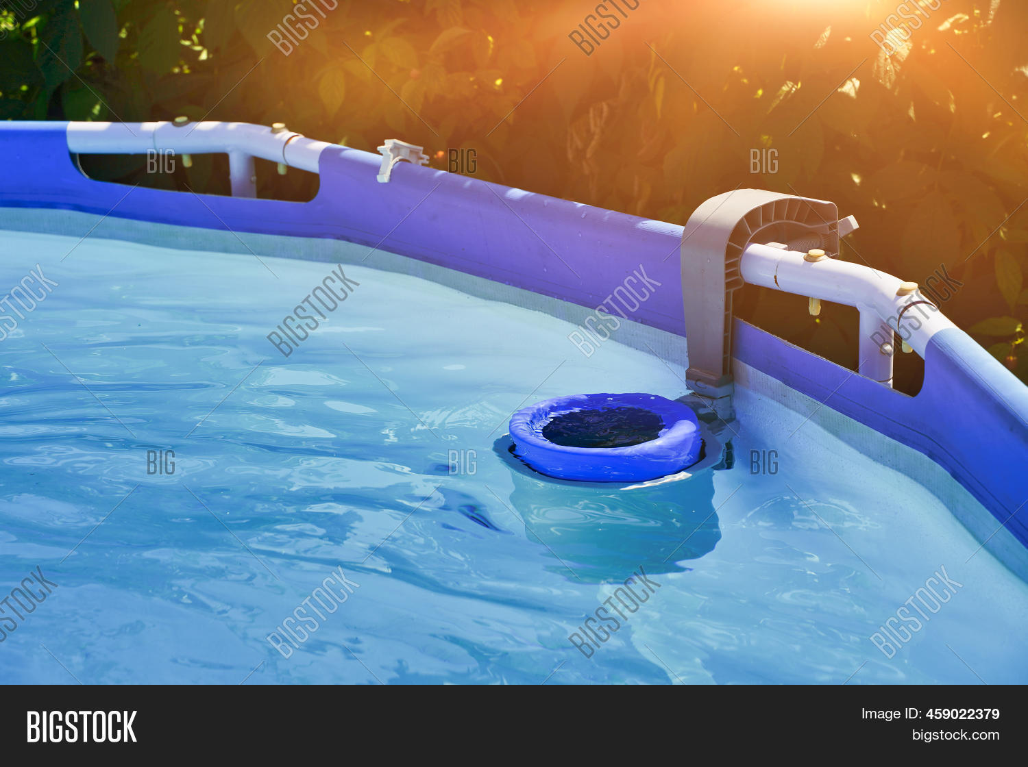 Skimmer On Round Frame Image & Photo (Free Trial) Bigstock