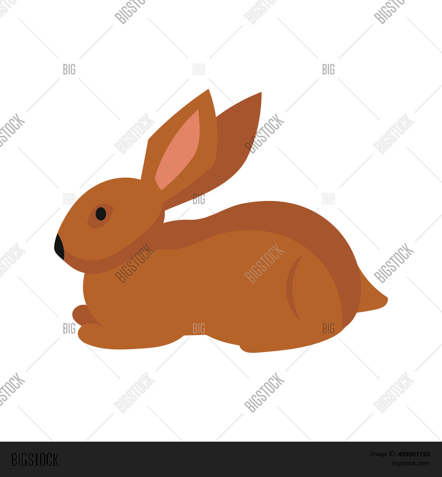Rabbit Hare 矢量图和照片(免费试用) | Bigstock