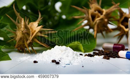 Composition With Seeds, Leaves, Capsules And Burundanga Powder