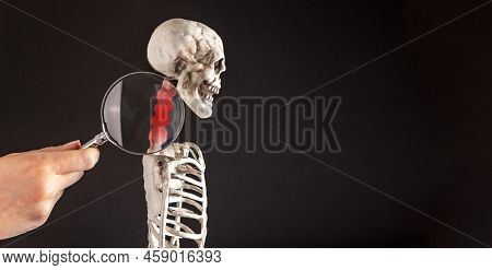 Banner With Hand With Magnifying Glass Over Cervical Vertebrae Of Human Skeleton Model. Neck Pain, S